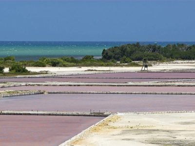 These Salt Flats in Puerto Rico are Cotton-Candy Pink – Smithsonian