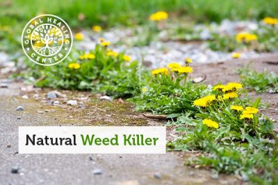 Natural Weed Killer: Get Rid of Weeds the Natural Way – Global Healing Center